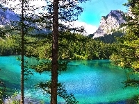 Las, Jezioro, Góry, Drzewa