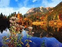 Las, Jezioro, Góry, Jesień