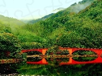 Las, Most, Góry, Jezioro