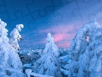 Śnieg, Góry, Las, Zima