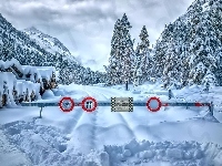 Las, Zima, Góry, Szlaban