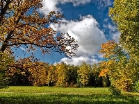 Las, Obłoki, Złota, Jesień, Białe