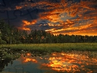 Jezioro, Las, Chmury