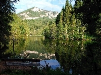 Las, Góry, Jezioro, Ławka