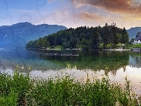 Las, Góry, Jezioro, Dom