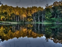 Jezioro, Las, Odbicie