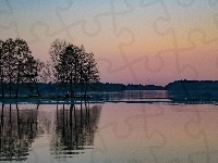 Las, Słońca, Odbicie, Wschód, Jezioro, Lustrzane