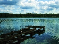 Jezioro, Las, Pomost