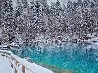 Las, Śnieg, Zima, Jezioro, Ogrodzenie