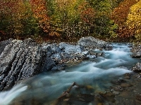 Kamienie, Las, Rzeka