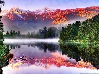 Mgła, Las, Nowa Zelandia, Góry, Jezioro, Odbicie