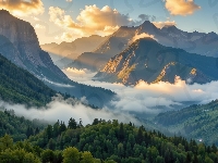 Mgła, Góry, Opadająca, Las