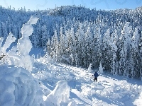 Śnieg, Las, Narciarz