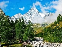 Łożysko, Obłoki, Góry, Las, Kamienie