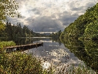 Las, Drewniany, Szuwary, Jezioro, Pomost, Drzewa