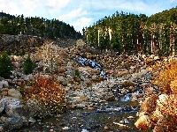 Potok, Las, Kamienie
