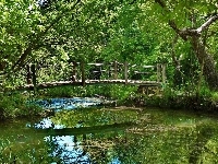 Rzeczka, Las, Mostek