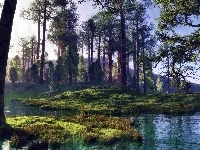 Rzeczka, Las, Poranek