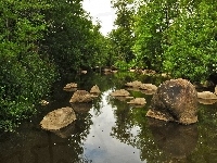 Rzeka, Las, Kamienie