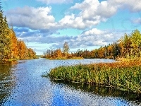 Las, Kręta, Rzeka, Chmury