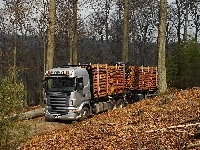 Scania, Las, Drewno