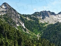 Góry, Las, Skały, Dolina, Drzewa