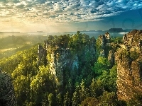 Las, Góry, Skały, Most