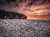 Las, Zachód, Słońca, Zima