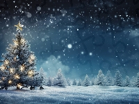 Gwiazda, Zima, Bombki, Boże Narodzenie, Choinka, Las, Śnieg, Światełka, Drzewa, Noc