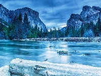 Góry, Stan Kalifornia, Rzeka, Stany Zjednoczone, Park Narodowy Yosemite, Las