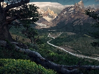 Rzeka Rio de las Vueltas, Park Narodowy Los Glaciares, Patagonia, Argentyna, Drzewa, Góry, Szczyt Cerro Torre, Dolina, Gałęzie, Szczyt Fitz Roy