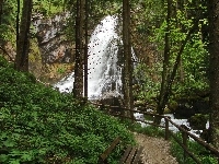 Wodospad, Las, Ścieżka