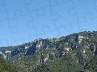 Las, Trawa, Góry, Wysokość, Drzewa