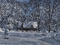 Las, Domek, Zima, Śnieg