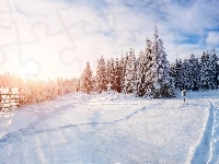 Śnieg, Zima, Las, Ogrodzenie