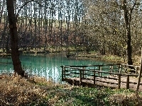 Staw, Lasek, Podest