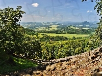 Światło, Dolina, Lasy, Cień