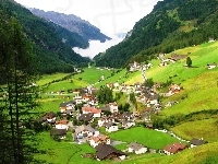 Lasy, Austria, Domy, Góry, Alpy