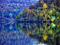 Lasy, Jezioro, Góry, Domek