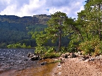 Lasy, Jezioro, Góry, Lato