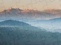 Góry, Lasy, Mgła