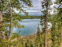 Lasy, Park Narodowy Yellowstone, Jeziora, Krajobraz