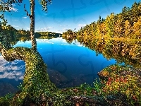 Norwegia, Lasy, Odbicie, Drzewo, Jezioro, Jezioro, Jesień
