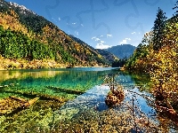 Prowincja Syczuan, Góry, Jezioro, Park Narodowy Jiuzhaigou, Chiny, Ngawa, Lasy
