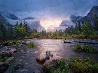 Góry, Stan Kalifornia, Wiosna, Stany Zjednoczone, Park Narodowy Yosemite, Lasy