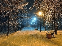 Latarnie, Park, Drzewa, Zima, Ławki, Ośnieżone