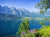 Góry, Lato, Jezioro