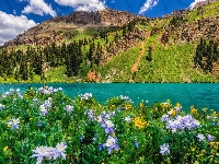 Kwiaty, Drzewa, Blue Lake, Jezioro, Góry, Łąka, Stany Zjednoczone, Niebo, Lato, San Juan Mountains, Kolorado, Sneffels Range