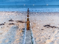 lato, morze, plaża, kamienie