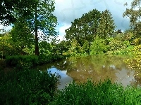 Lato, Park, Staw, Drzewa
